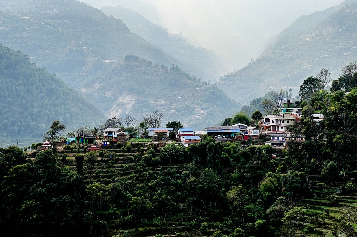 बसाइँसराइले गाउँ रित्तिँदै - बाँदर आतङ्क बढ्यो 